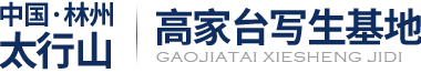 河南省高家台写生基地服务有限公司